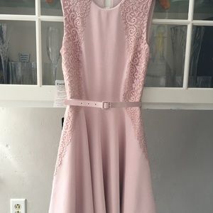 Bebe fit and flare Jersey dress with lace sides.